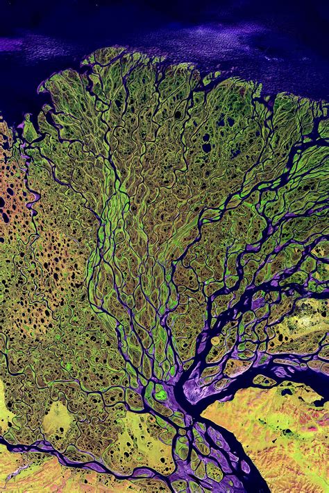 The Lena River Delta Imaged In Infrared Light By Landsat 7 Satellite