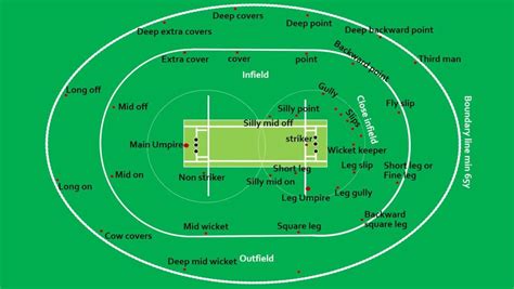 Cricket Ground Cricket Cricket Boundaries Beginners Guide