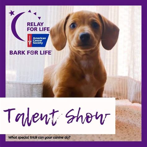 Join us in the fight against cancer! Relay For Life of Chittenden County VT - Home | Facebook