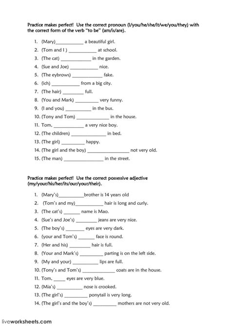 Spanish Possessive Adjectives Practice Worksheets Adjectiveworksheets Net