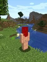 Naked Skins In Minecraft Big Tits Porn