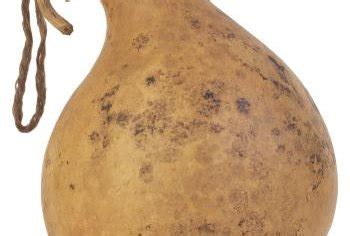 I've been known to eat rotten food by accident. How to Grow Large Gourds | Home Guides | SF Gate