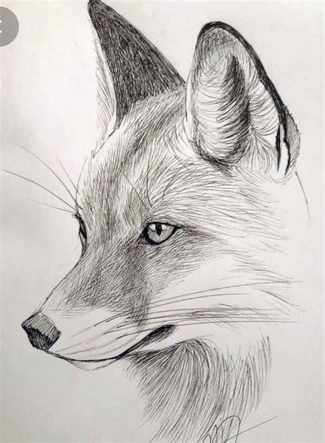 Realistic Pencil Drawing Of A Foxs Head