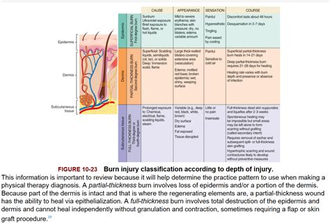 Classification by extent of burn the extent of burn, clinically referred to as the total body surface area burned, is defined as the proportion of the. PTA195 Exam #2 - Physical Therapy Asistant (pta) 195 with ...