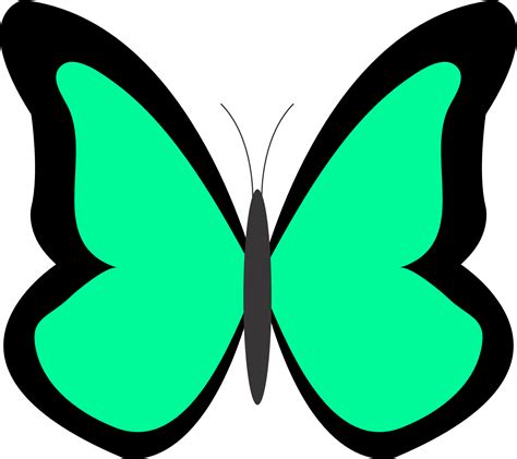 Butterflies Colorful Butterfly Designs Clipart Clipartfest Clipartix