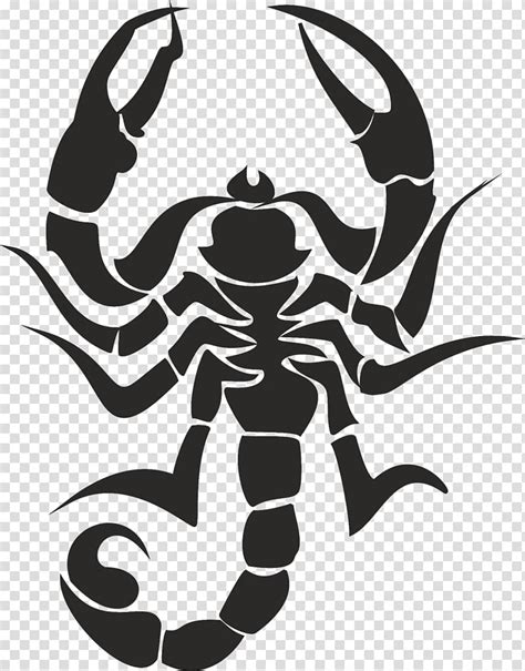 Scorpion Scorpions Transparent Background PNG Clipart HiClipart