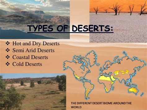 What Is A Desert Biome Socratic