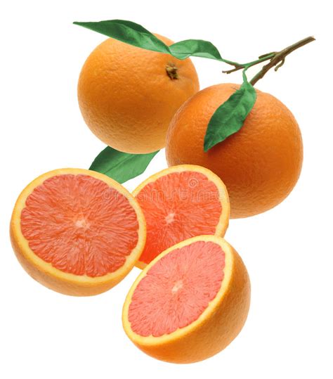 Oranges Stock Photo Image Of Fruit Healthy Oranges 24926866