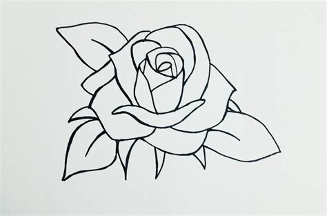 basic rose drawing at explore collection of basic rose drawing