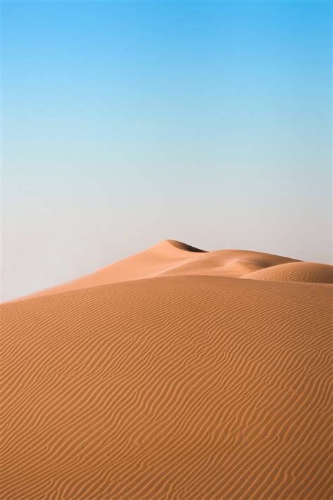 Desert Phone Wallpaper 16