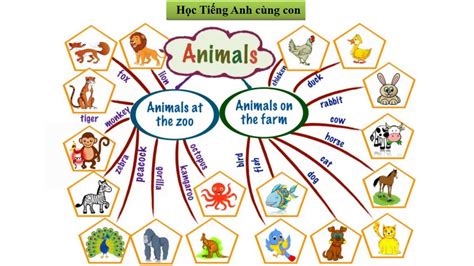 Học Tiếng Anh Bằng Mindmap Chủ đề Animals Youtube