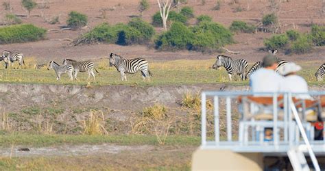 Best Time To Visit Botswana Safari Deal