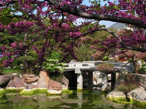 Japanese Gardens Photos