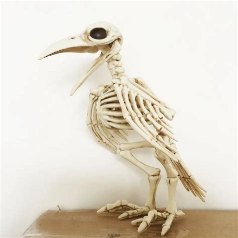 Skeleton Raven100 Plastic Animal Skeleton Bones For Horror Halloween