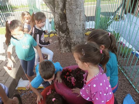 Escola Municipal De Educação Infantil Paulistinha Crianças Explorando