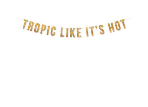 Tropic Like Its Hot Party Banner Palm Springs Etsy