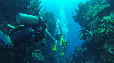 Belize Barrier Reef Diving Site Descriptions Our Belize Vacation