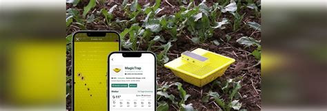 Bayer Ags Smart Insect Traps Use 1nce Services To Protect Canola Crops