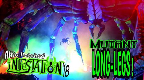 Mutant Long Legs Youtube