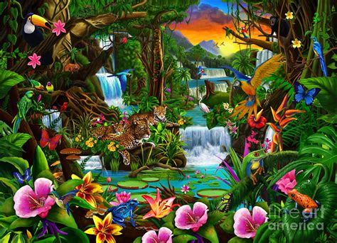 Beautiful Rainforest Digital Art By Mgl Meiklejohn Graphics Licensing