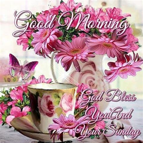Good Morning God Bless You And Your Sunday Pictures Photos And