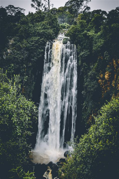 Waterfall Between Trees · Free Stock Photo