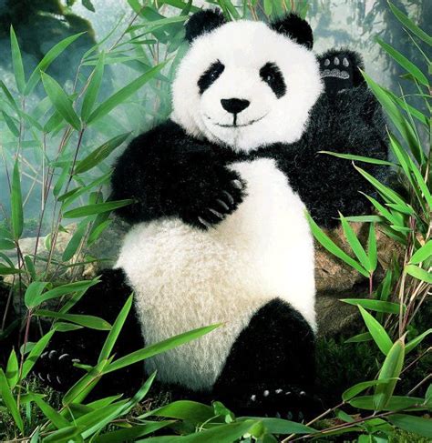 Panda Limited Edition By Kosen 28cm The Bear Garden