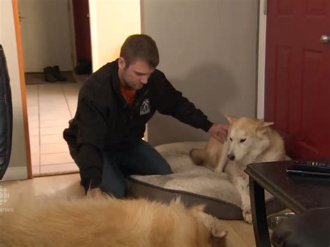 Canadian Man Fights Cougar With Bare Hands To Save His Dog
