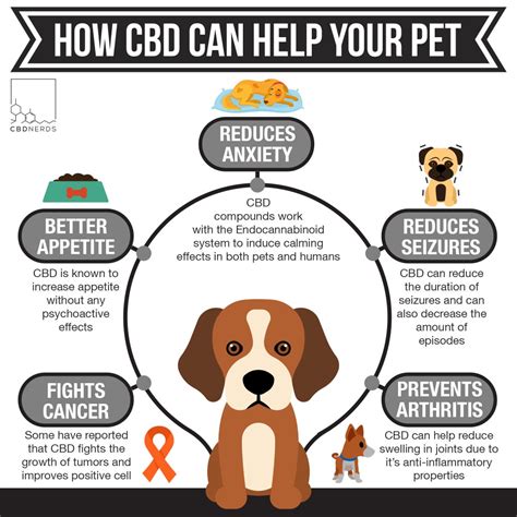 As a result, we don't yet know how it benefits cats. What You Need to Know About CBD for Pets - NewsTimes