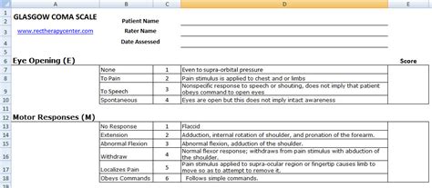 This article is for medical professionals. Excel Spreadsheets Help: Glasgow Coma Scale Chart