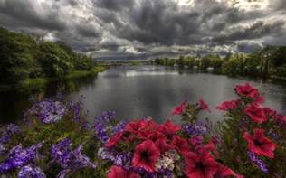 Cloudy Clouds Over The Lake With Flowers On The Shore Wallpapers And