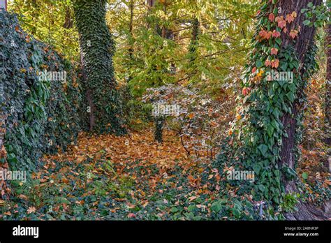 Botanical Gardens Of Wroclaw In Autumn Stock Photo Alamy