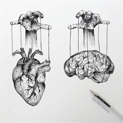 Controlled Heart And Brain Ink Pen Drawings Anatomy Art Art Drawings
