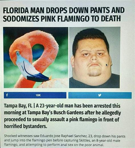 The best florida man memes of 2021. The adventures of Florida man - 9GAG