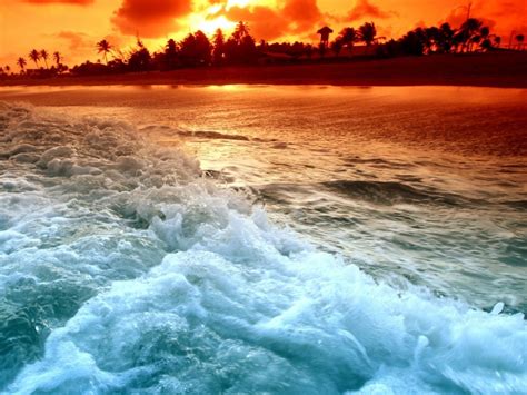 38 Tropical Beach Sunset Wallpaper On Wallpapersafari