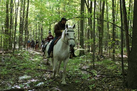 Horseback Riding Toronto Horse Back Trails And Lessons Pleasure Valley