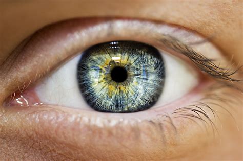 Retina Problems: Warning Signs You May Have a Retinal Disease - Drs ...