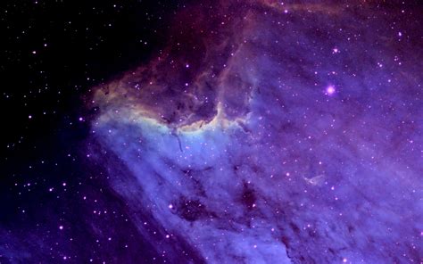 Pelican Nebula 4k Purple And Black Galaxy Wallpaper 3d Space Nebula