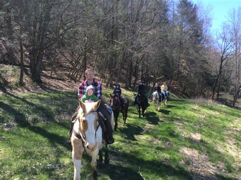 Waldens Creek Stables Free Ticket For Horseback Riding