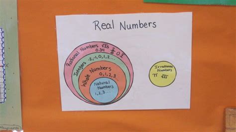 Real Numbers Graphic Organizer Real Numbers Real Number System Math