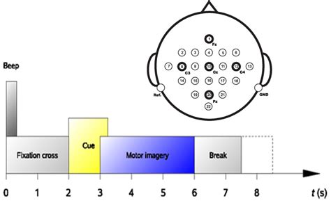 A Schematic Representation Of Experimental Setup Including EEG Channels