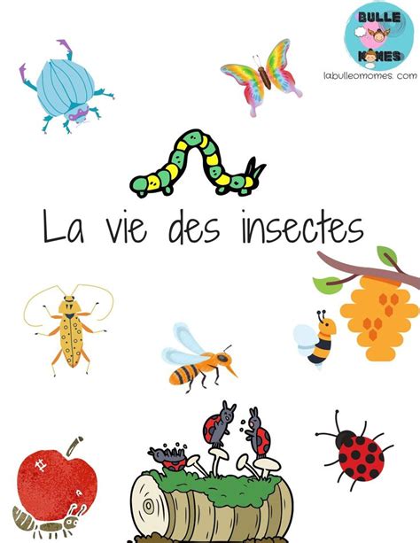 Tout Sur Les Insectes Insectes Thème Environnement Cahier De Maternelle