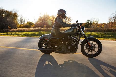 Iron 883 custom concepts bobber bike harley. New 2021 Harley-Davidson Iron 883™ Snake Venom ...