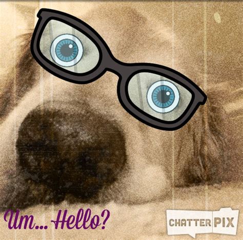 Picture 22 Memesanmoreinc Dog Memes Snapchat Spectacles Round