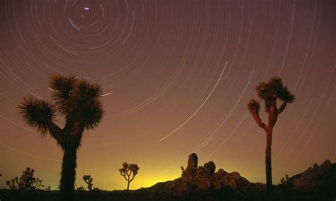 Places To Visit Joshua Tree National Park Alltrips