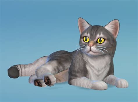 Sims 4 Cats And Dogs Sims4cc Sims4clutter Sims4decor