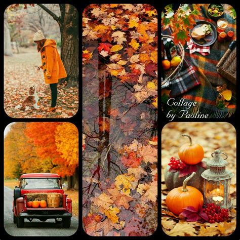 I Miei Collage By Paoline Autunno Fall Wallpaper Beautiful Collage