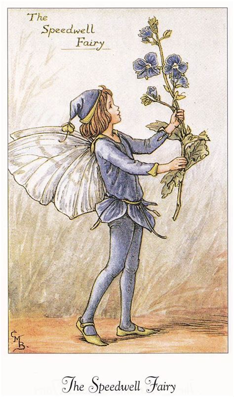 Flower Fairies Of The Spring A Celebration By Cicely Mary Barker
