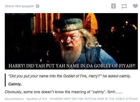 Who Put Harry Potters Name In The Goblet Of Fire Harmonytrust