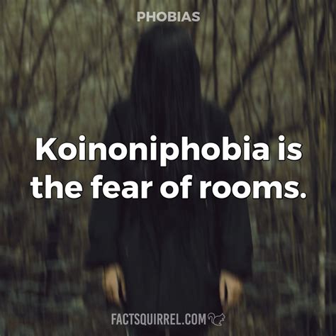 The Fear Of Going To Bed Is Known As Clinophobia Factsquirrel